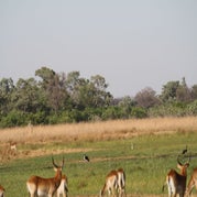 IMG_4195.jpg