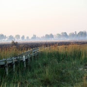 IMG_4737.jpg