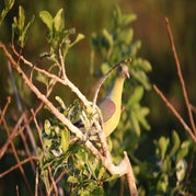 IMG_4616.jpg