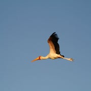 IMG_4584.jpg