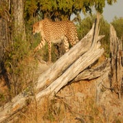 DSCN2584.jpg
