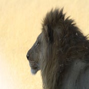IMG_4294.jpg