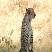 DSCN2612.jpg