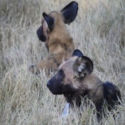 IMG_4433.jpg