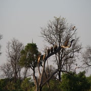 IMG_4328-kopie.jpg