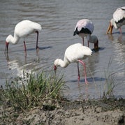 IMG_4890.jpg