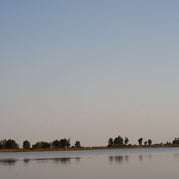 IMG_4544.jpg