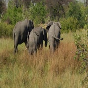 DSCN2679.jpg