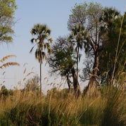 IMG_4522.jpg
