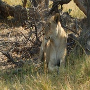 DSCN2694.jpg