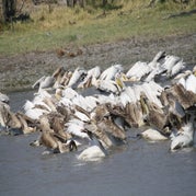 IMG_4874.jpg