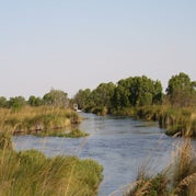 IMG_4504.jpg