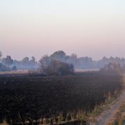 IMG_4729.jpg