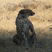 IMG_4444.jpg