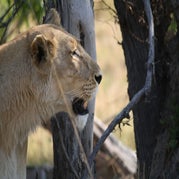 IMG_4850.jpg