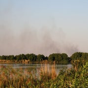 IMG_4569.jpg