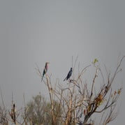 DSCN2668.jpg