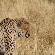 IMG_4451.jpg
