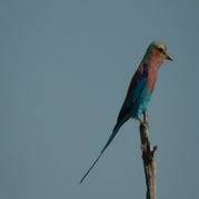 DSCN2664-1.jpg