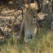 DSCN2691.jpg