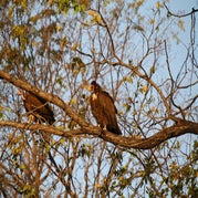 IMG_4352.jpg