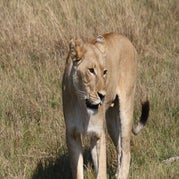 IMG_4858.jpg