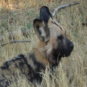DSCN2598.jpg