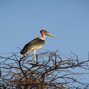 IMG_4326.jpg