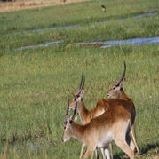 IMG_4192.jpg