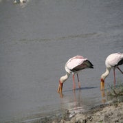IMG_4872.jpg
