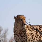IMG_4461.jpg