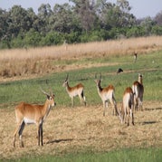IMG_4193.jpg