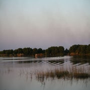 IMG_4717.jpg