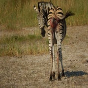DSCN2670.jpg