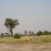 IMG_4808.jpg