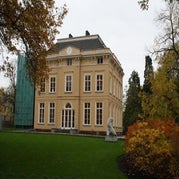 IMG_8785.jpg