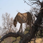 IMG_4459.jpg