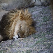 IMG_4288.jpg