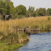 IMG_4518.jpg