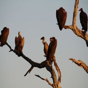IMG_4357.jpg