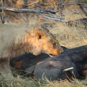IMG_4369.jpg