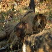 DSCN2551.jpg