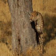 DSCN2639.jpg