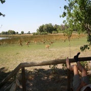 IMG_4276.jpg