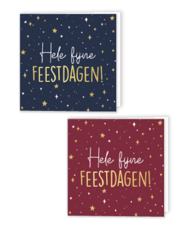 10 luxe kerstkaarten met envelop