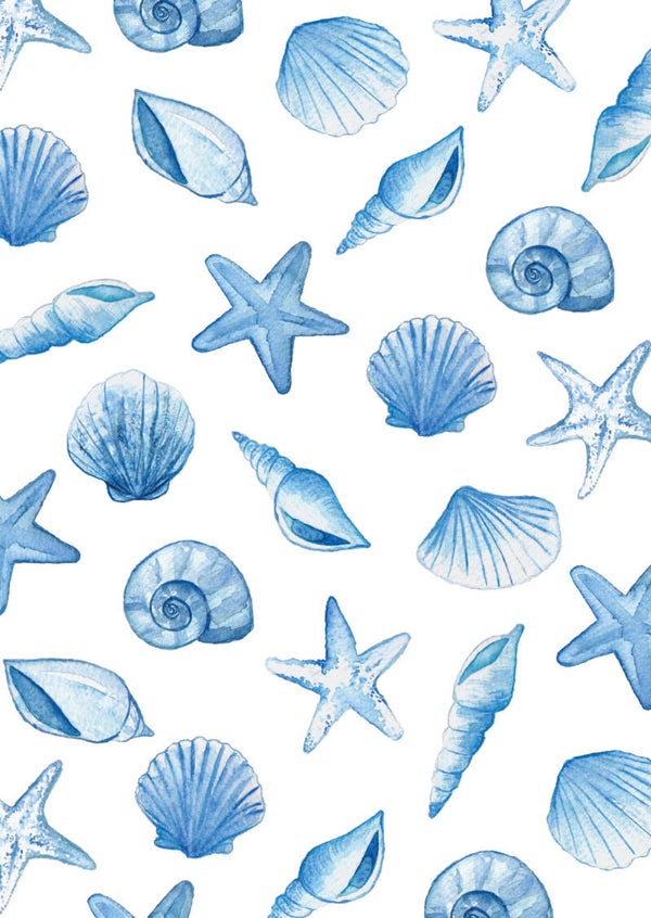 Kaart A6 enkel 'Schelpen'