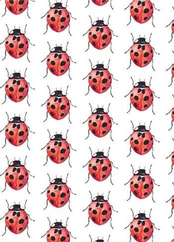 Kaart A6 enkel 'Lieveheersbeestjes'