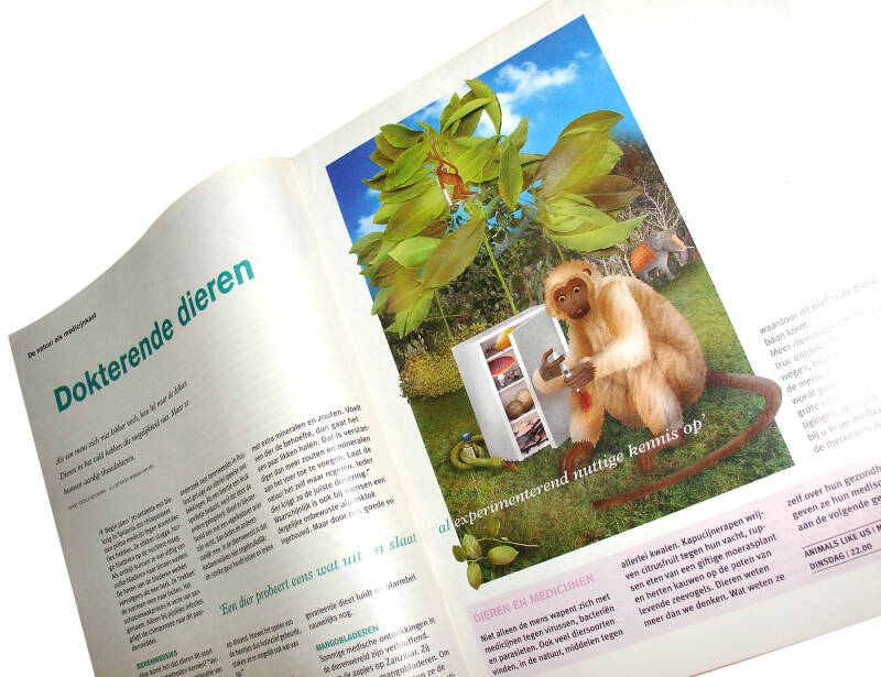 NCRV gids - Dierendokter