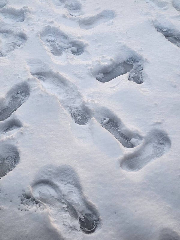 Photo - Foot Prints