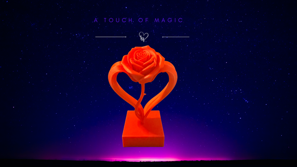 Single Rose